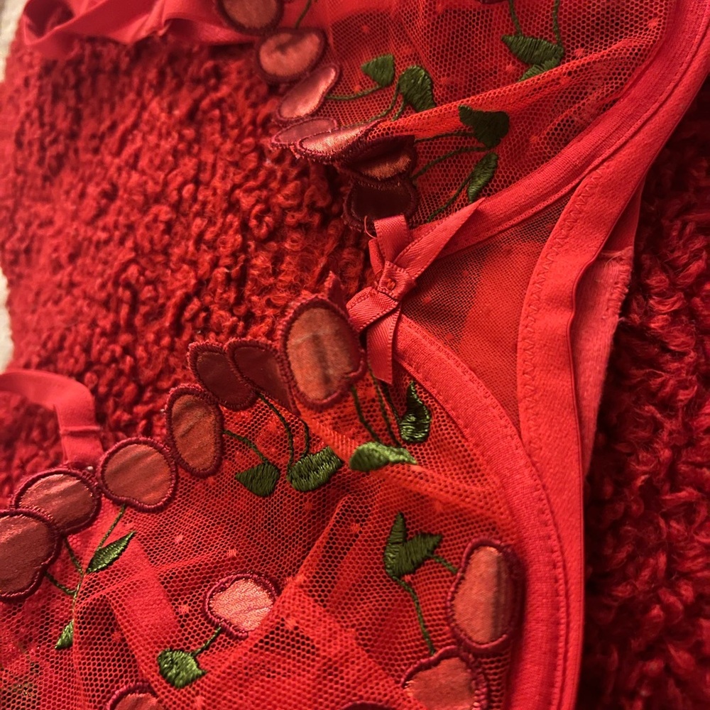 For Love And Lemons Red Cherry Embroidered Bra - Picture 3 of 6